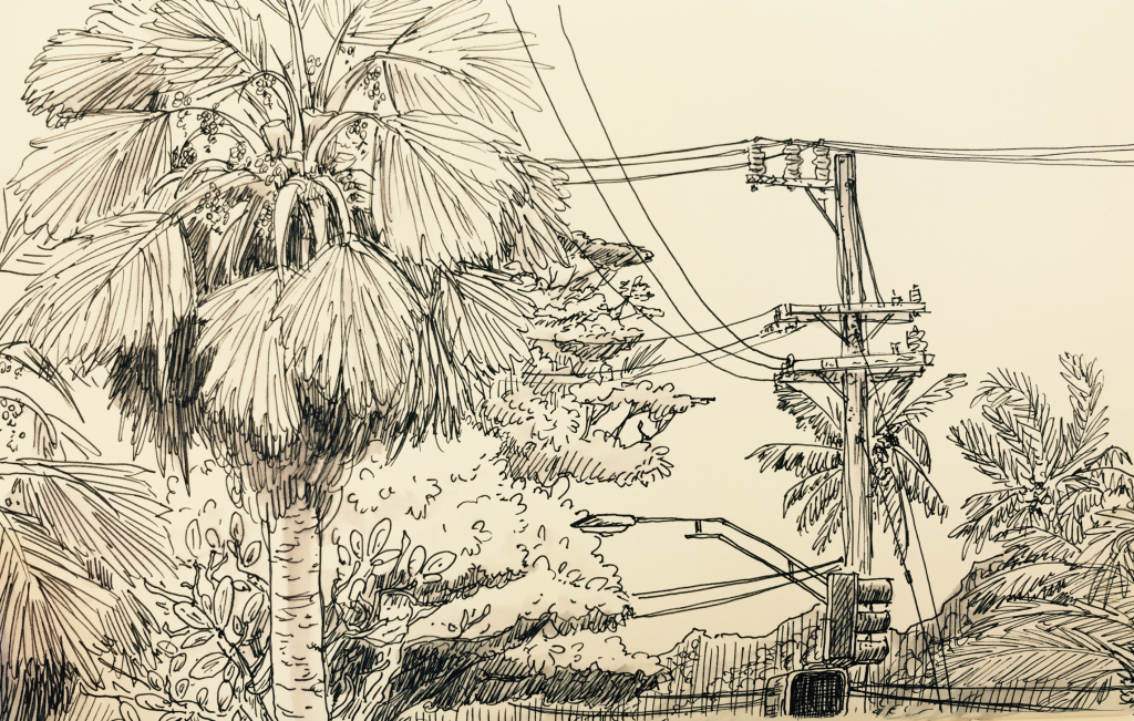 Lucy Bellwood ink link drawing of palm trees and power lines